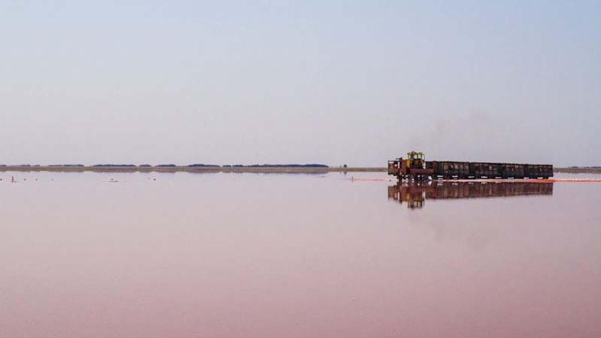 Imagini colosale. Lacul roz, traversat de un tren VIDEO