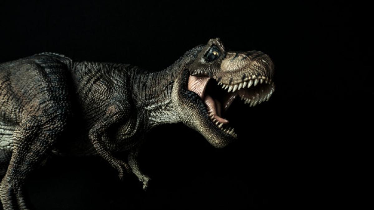 tyrannosaurus_t_rex_dinosaur_black_44074_3259_84454800