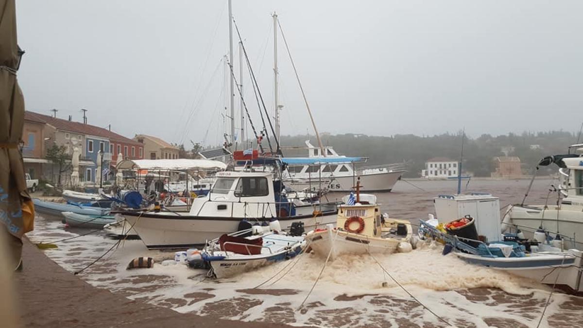 eil417wwoaanlau_72719200