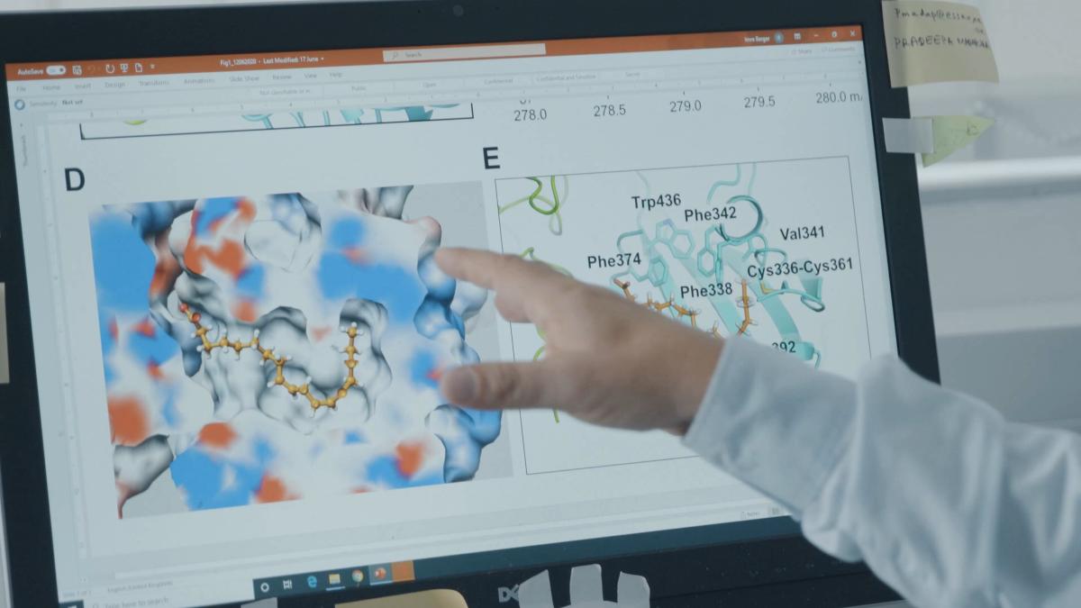 5f68f2c617c8f_60329000