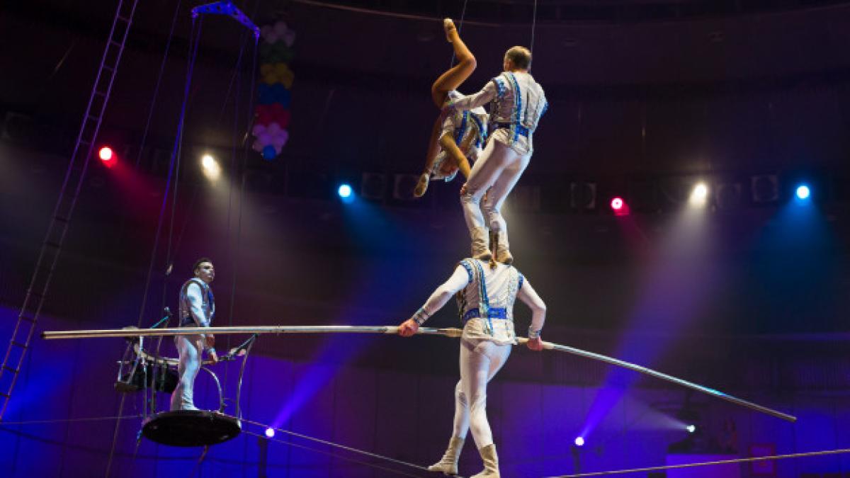 performance_aerialists_circus_arena_110955_562_70942400
