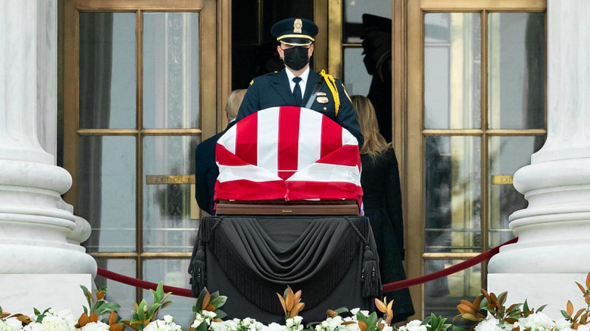 50380486172_cda7cf7ca0_c_40168200