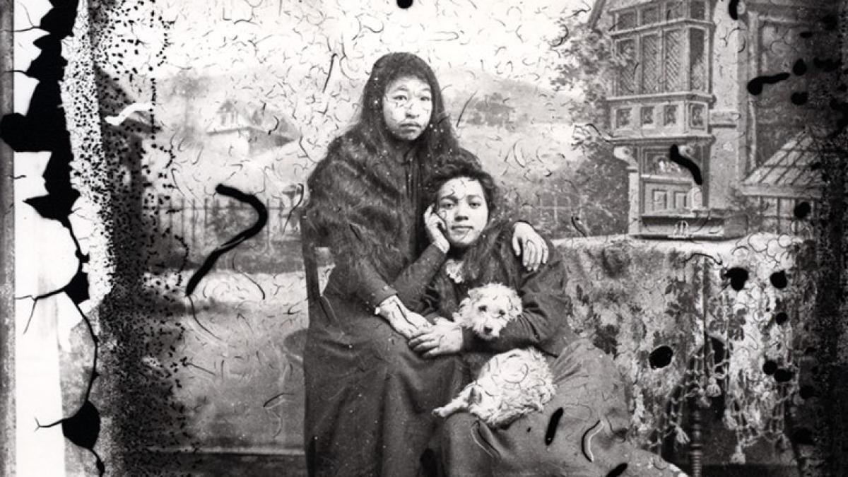 salish_wooly_dog2_38307200