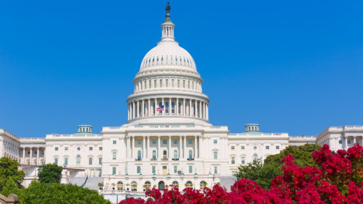 capitol_building_washington_dc_pink_flowers_usa_79295_8689_25609200