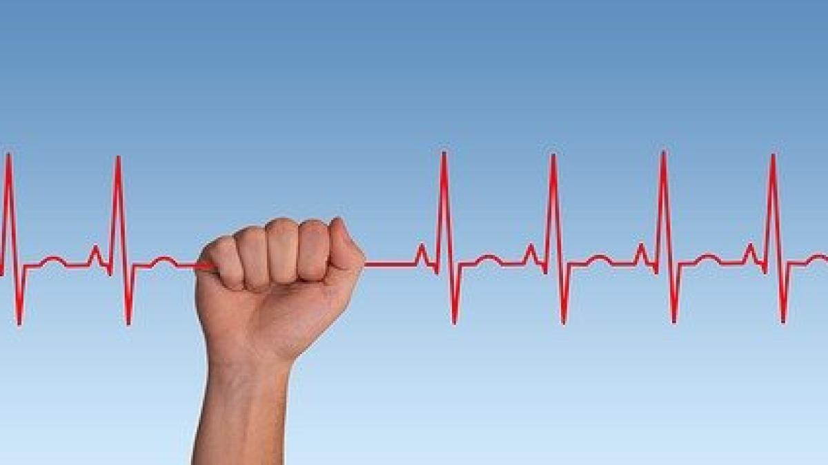 pulse_3530383_640_54272100