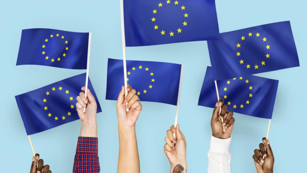hands_waving_flags_europeanunion_53876_71081_36868500
