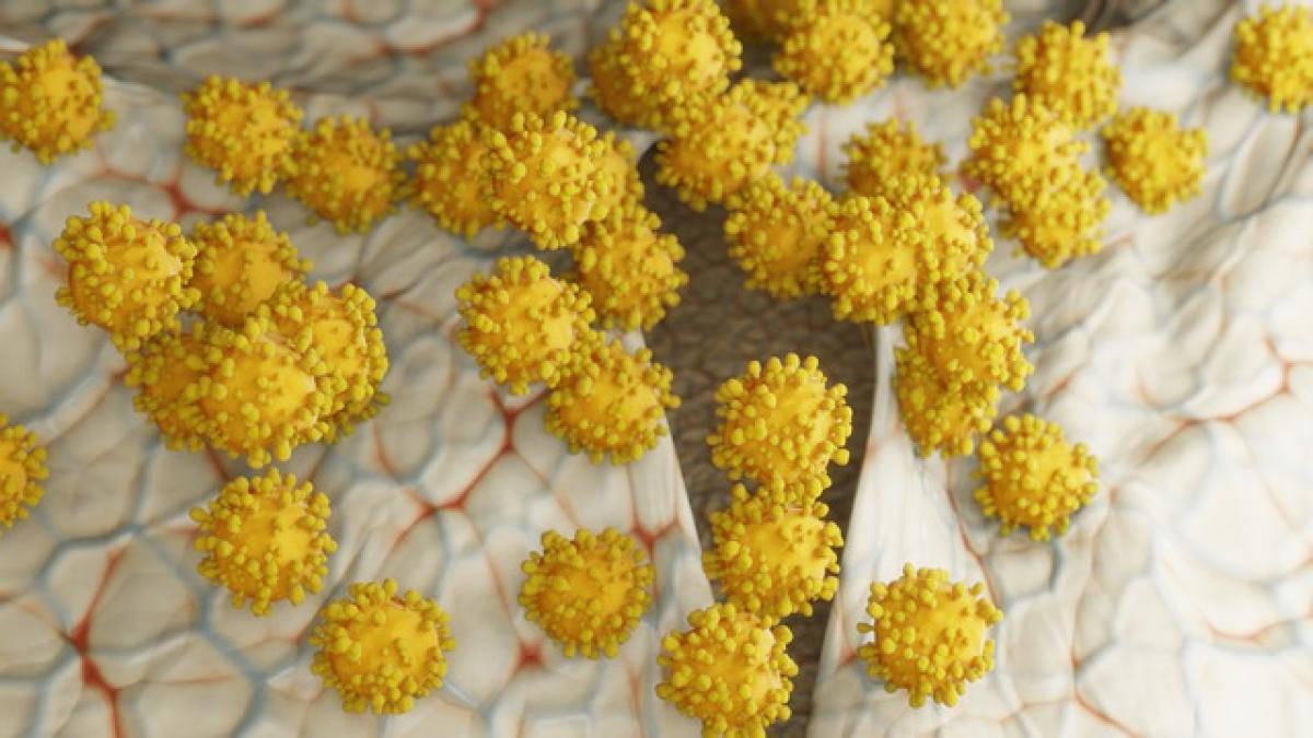 covid_19_4938583_640_32046600