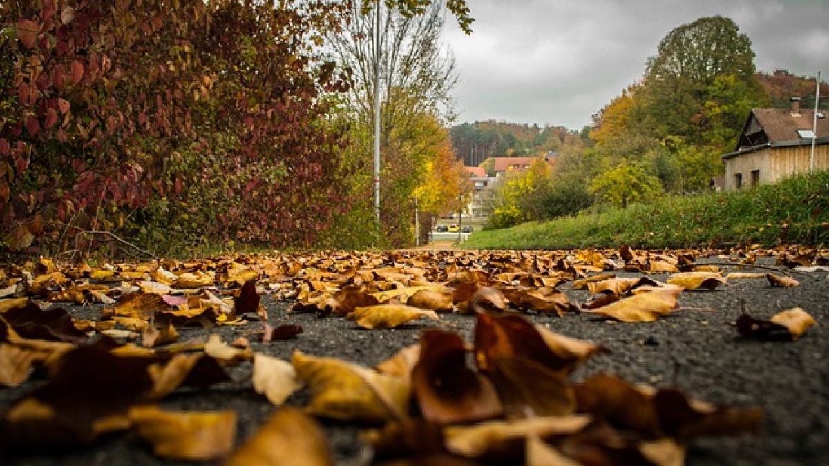 autumn_4679860_640_24664800