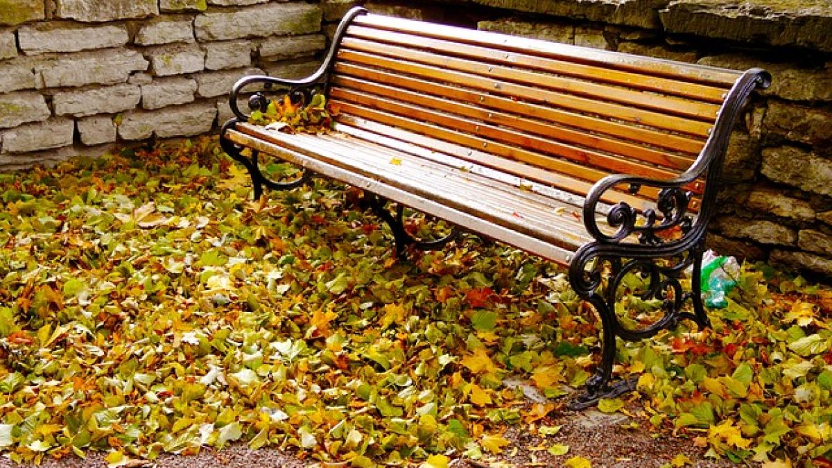 autumn_season_219155_640_06926400