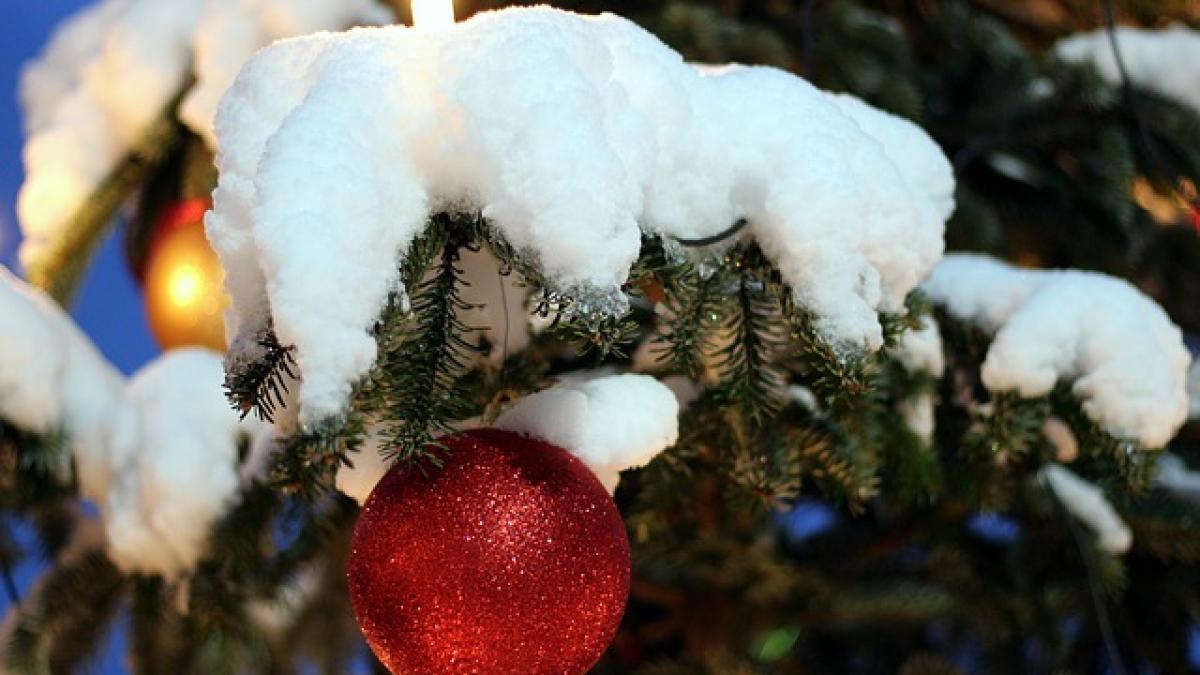 christmas_ornament_3004421_640_55677800