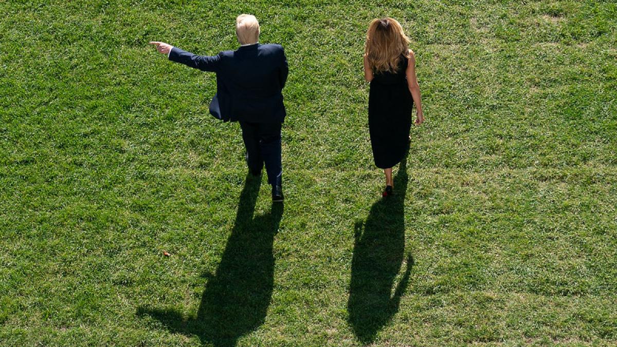 50533259612_5a7610572a_c_99355200