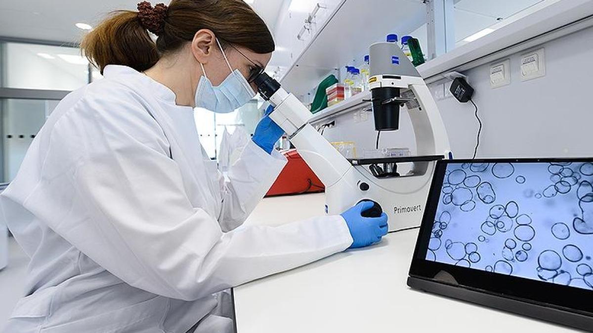 laborator15_59800400