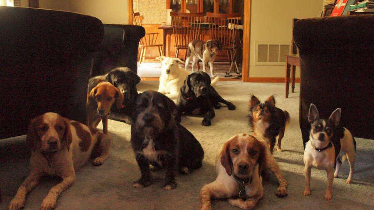 12196506564_bfa8321fe9_c_61100600