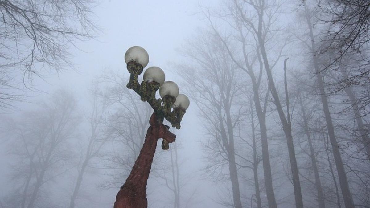 street_lights_1928596_640_28870100