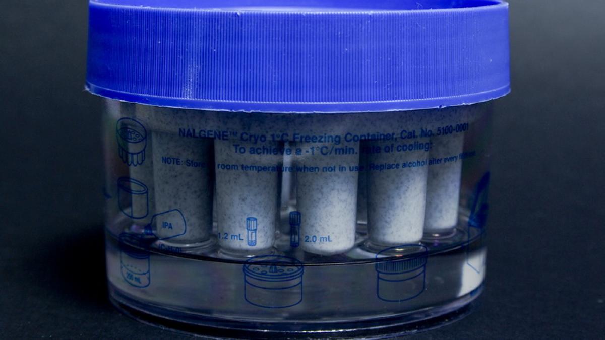 cryogenic_freezing_container_2_resize_47607000