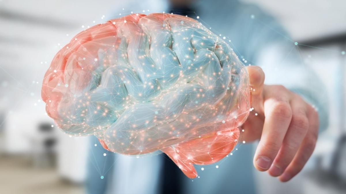 businessman_using_using_digital_3d_projection_human_brain_117023_2024_29287000