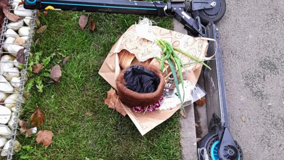 accident_trotineta_16174300_72512100