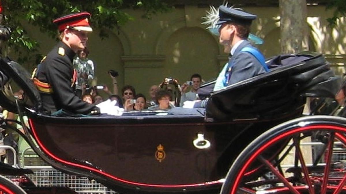 prince_william_of_wales___prince_henry_of_wales_2_64925900