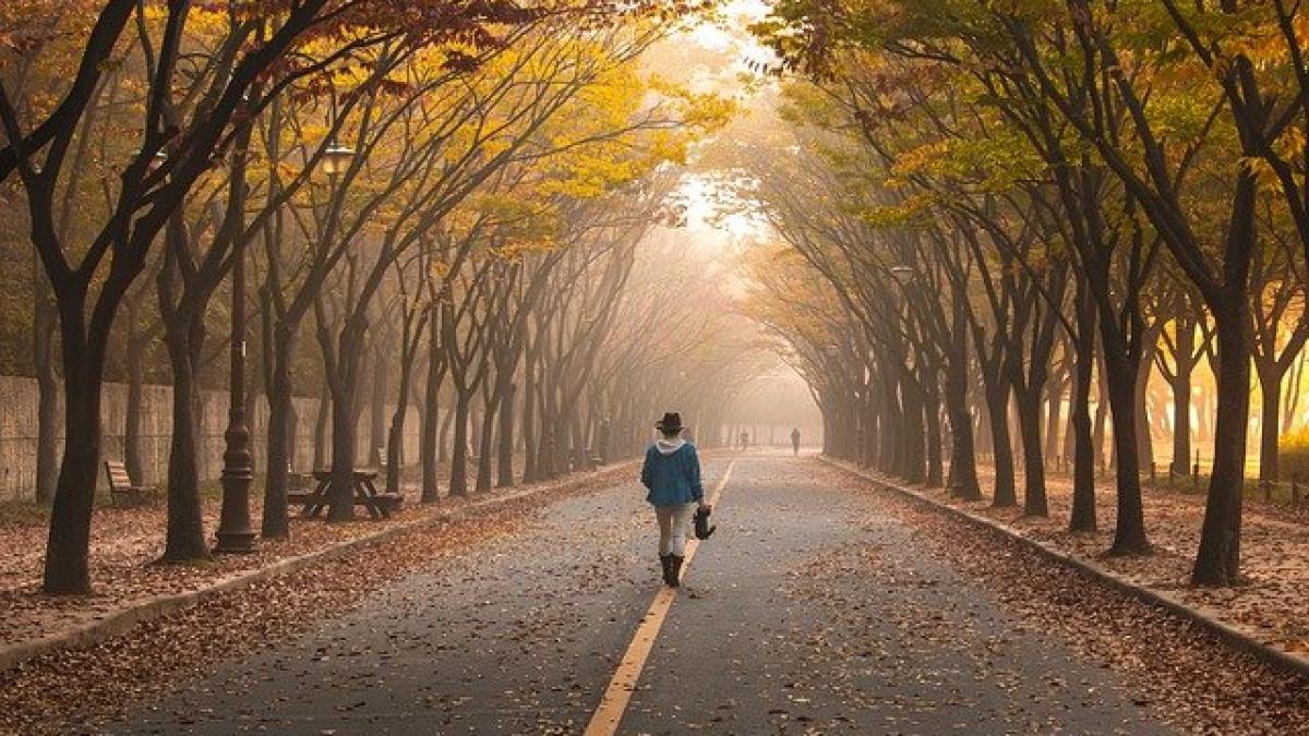 road_5767221_640_36564200