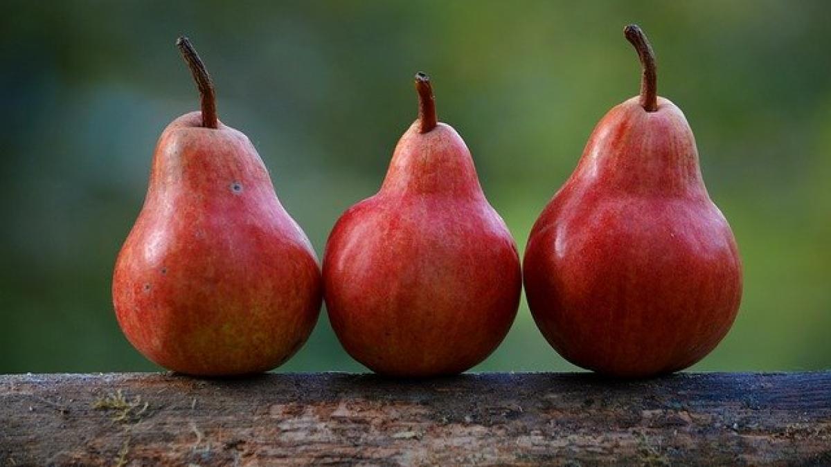 pears_1209915_640_64955400