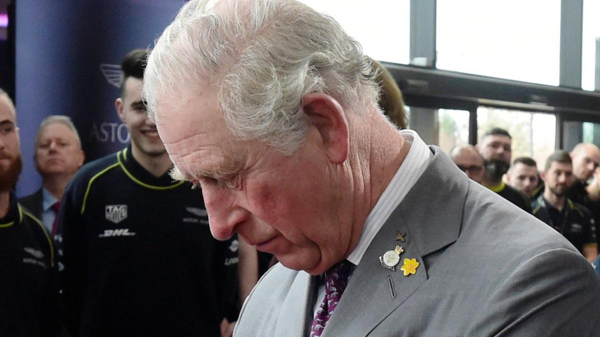 86998060_2985133418175135_6911079773468884992_o_85442200