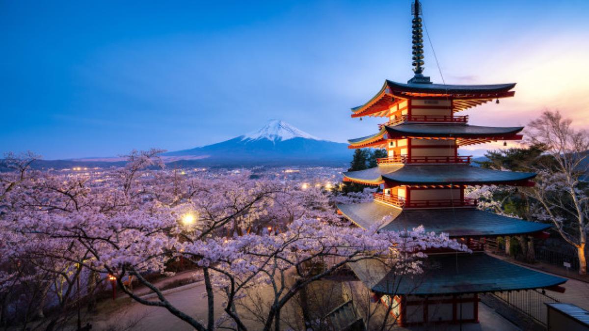 japan_chureito_pagoda_mt_fuji_spring_with_cherry_blossoms_full_bloom_during_twilight_73503_1658_36480900