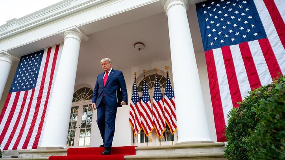 50621441597_b2ffa8d51c_c_16603500