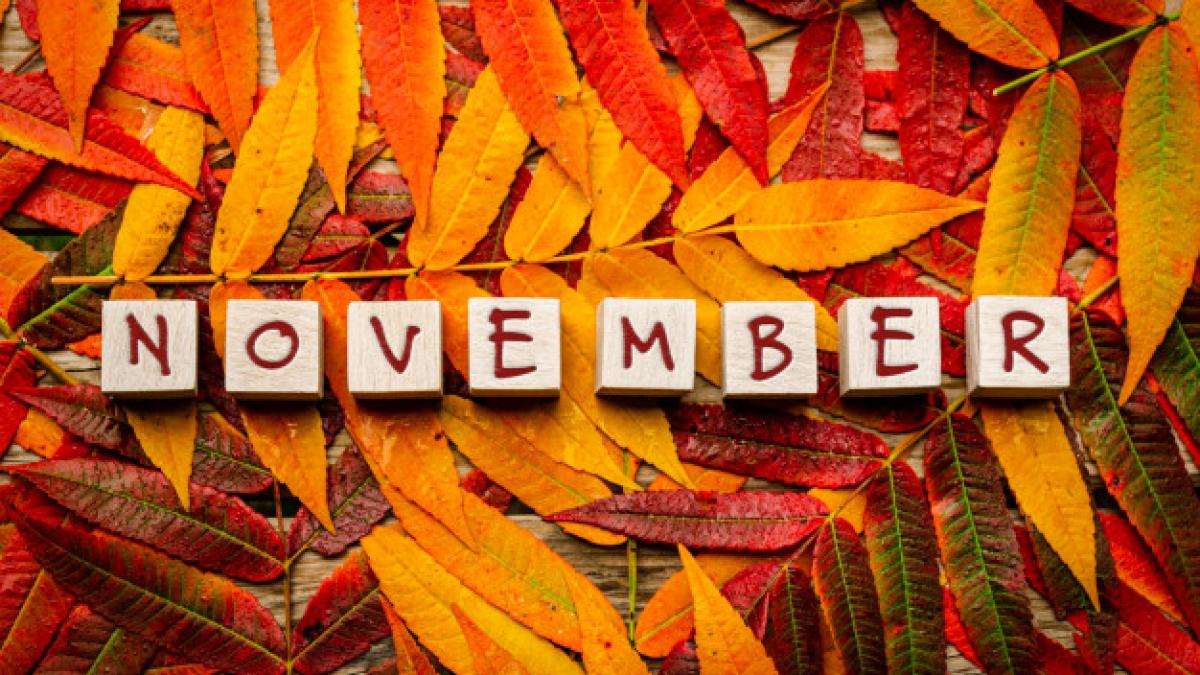 concept-month-november-with-colourful-leaves-with-text-white-wooden-blocks_263726-181_22908000