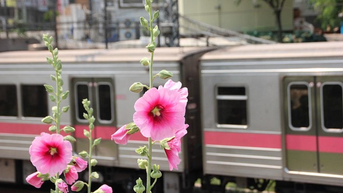 train-2441344_640_10312900