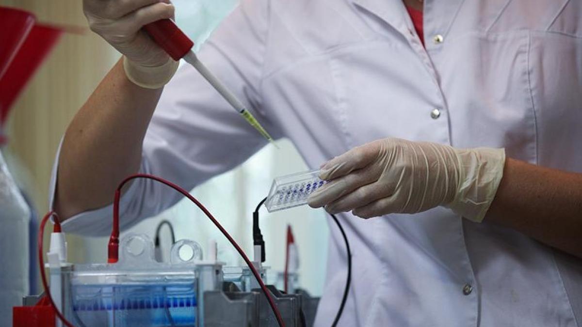 laborator10_60196900