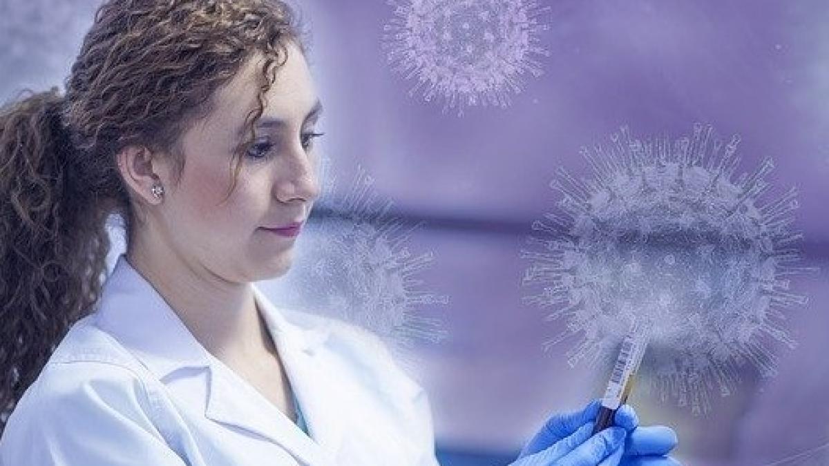 coronavirus11_70230300