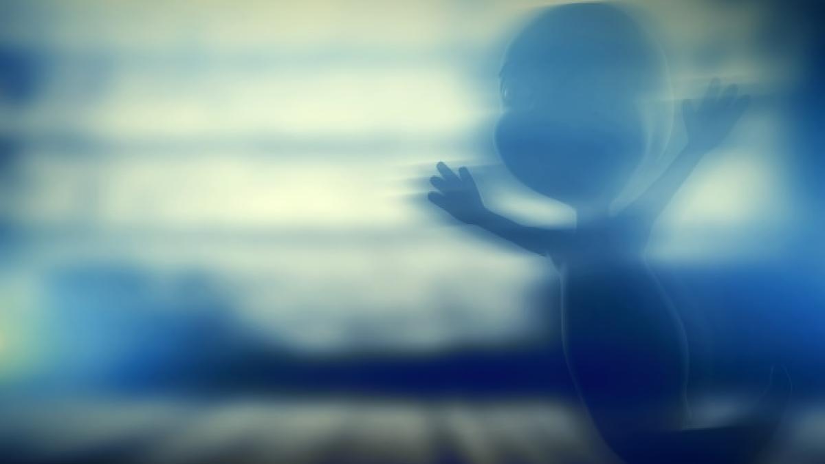 ghost-with-blurred-background_1160-616_14741700