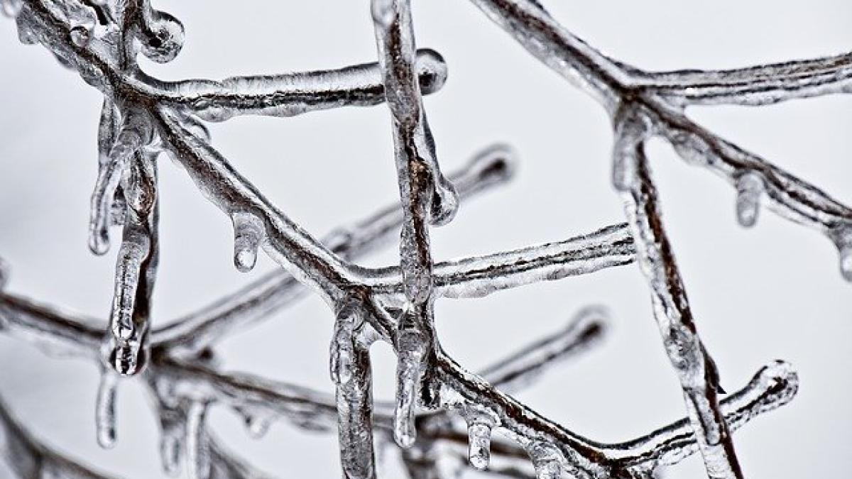 ice-562684_640_70929400