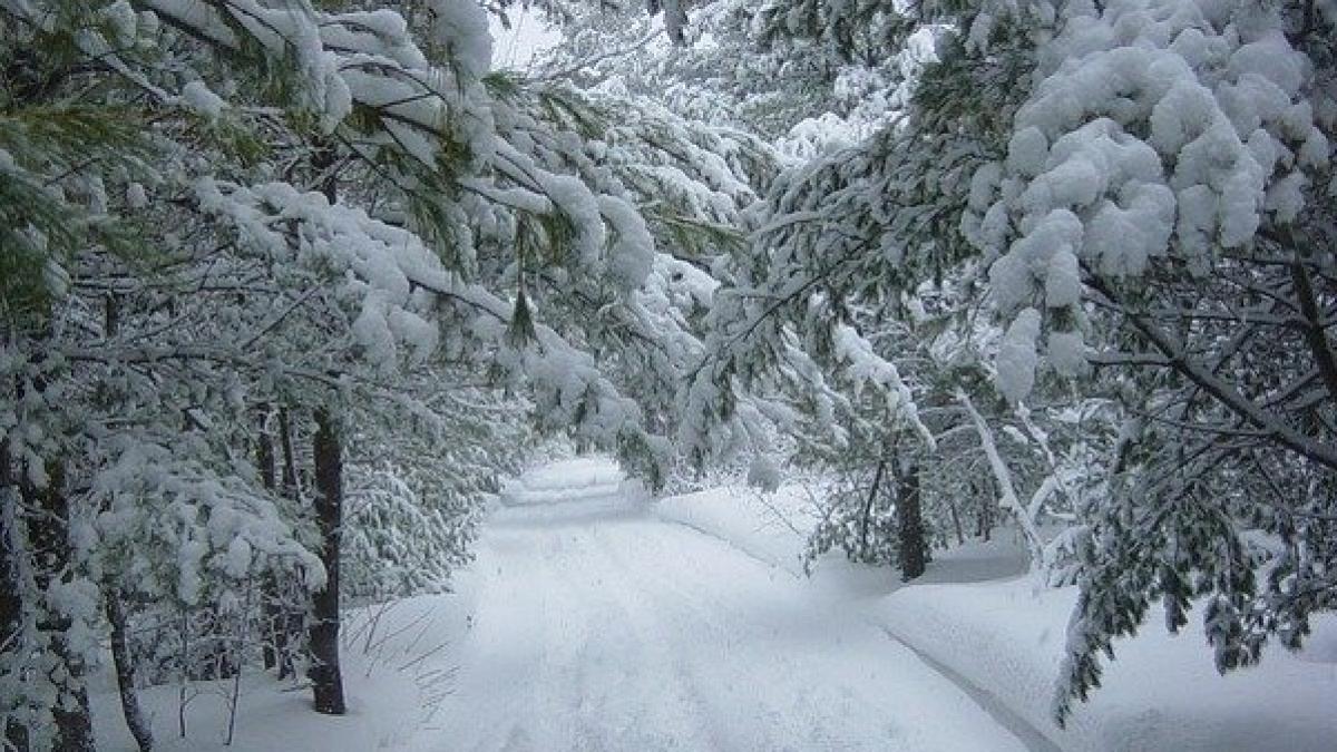 winter-19312_640_00653300