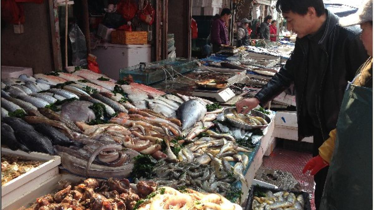 n2013040411433759_13516800