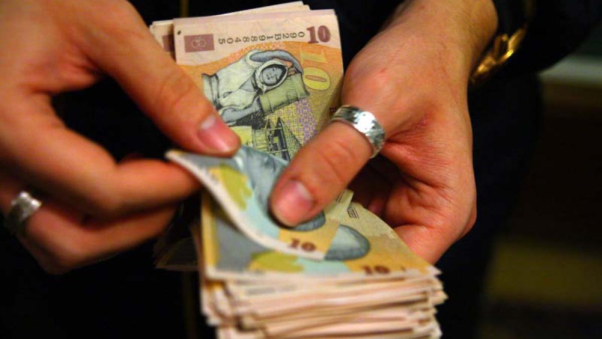 pavo0237_resize_14264400