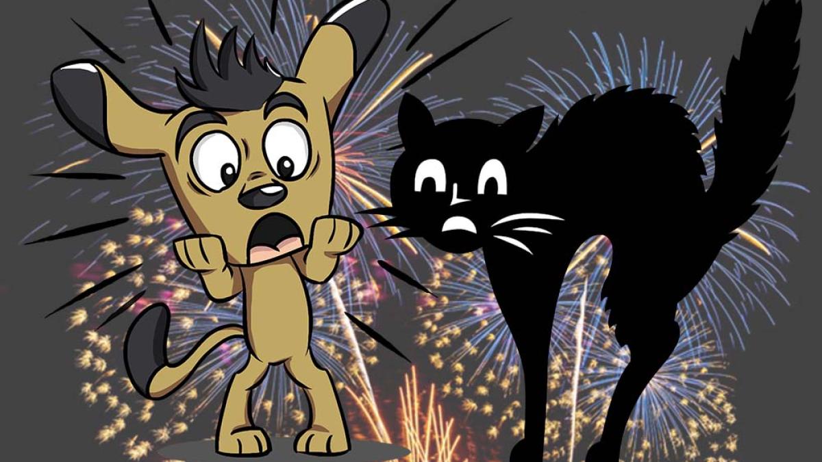 animale-speriate_14528500