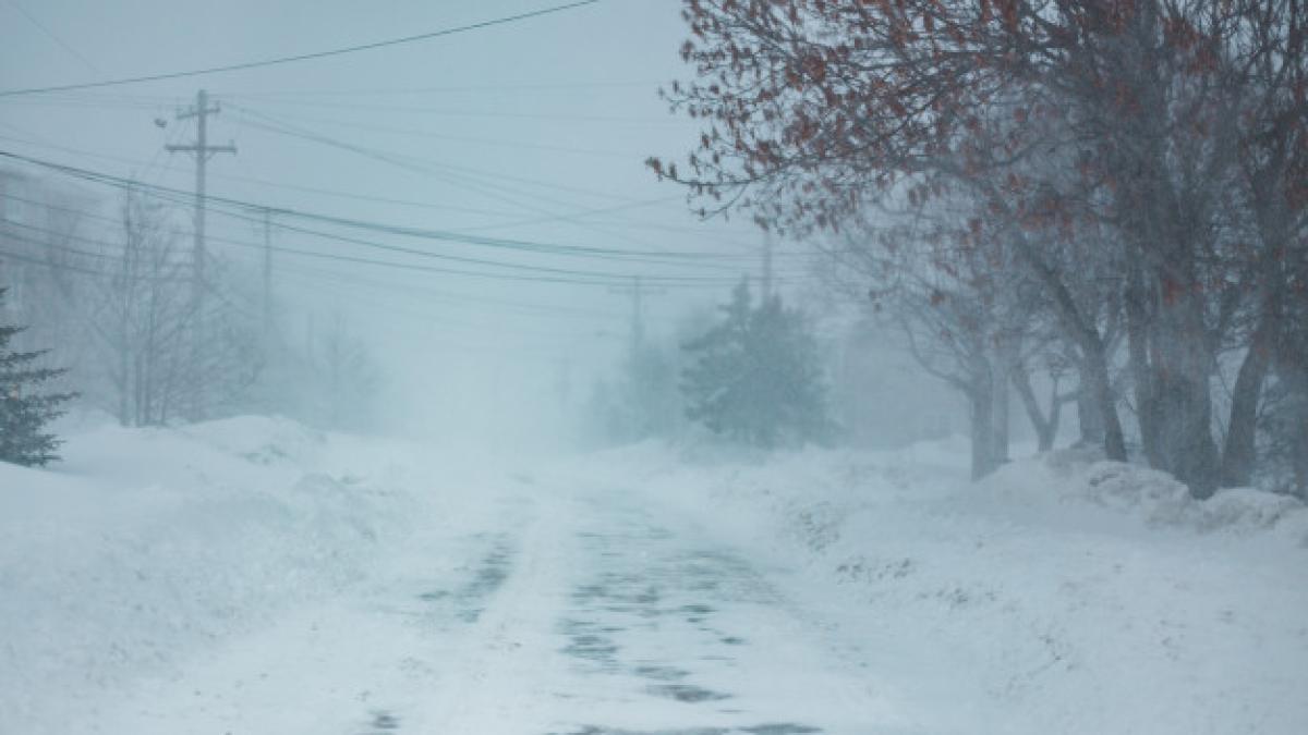 road-covered-with-snow-trees_249578-519_73980900