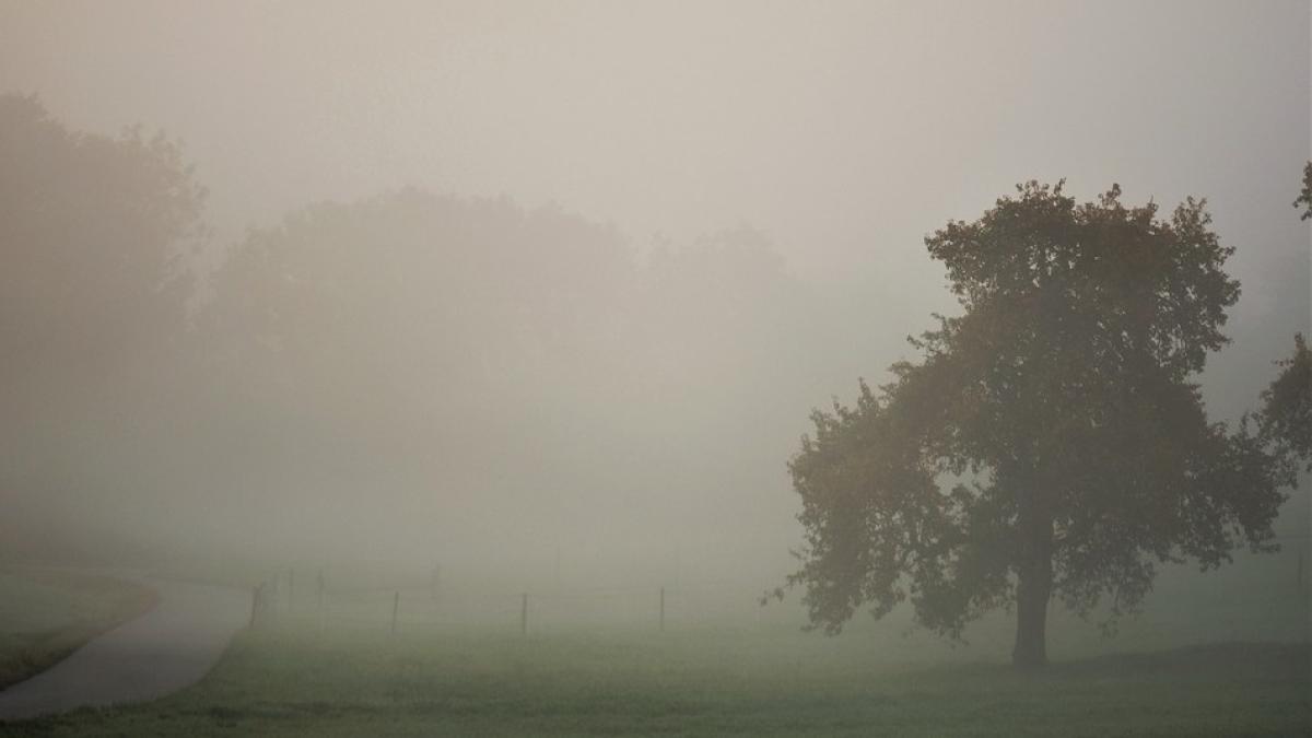 ceaprc-c8prc-9ba_in_toata_prc-c8prc-9bara_97300300