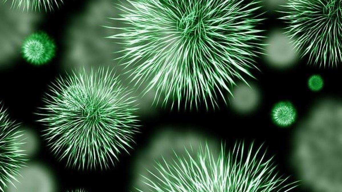 bacteria-426997_640_03058300