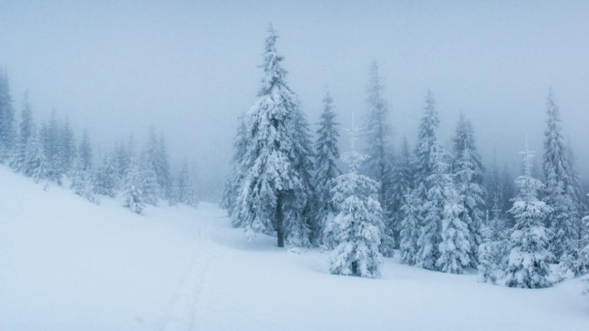 viscol-munte_47329400