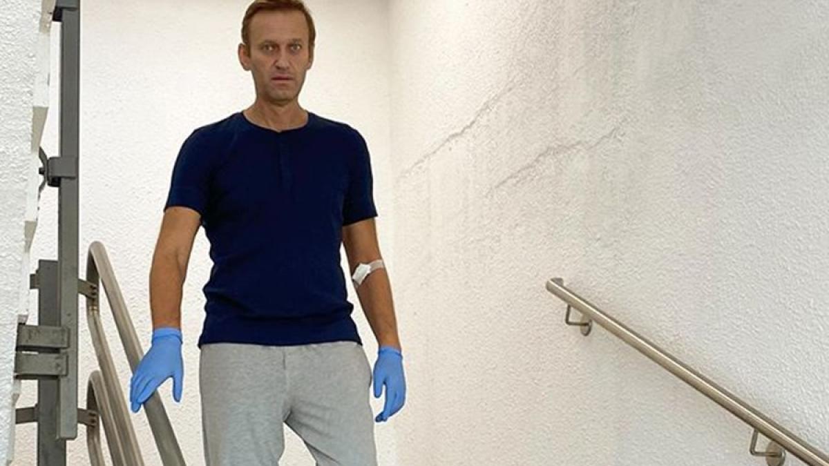 whatsapp_image_2020_09_23_at_11_06_42_23658400