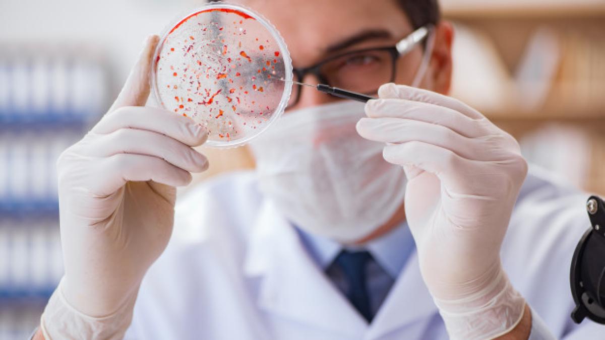 doctor-studying-virus-bacteria-lab_85869-6496_69426200