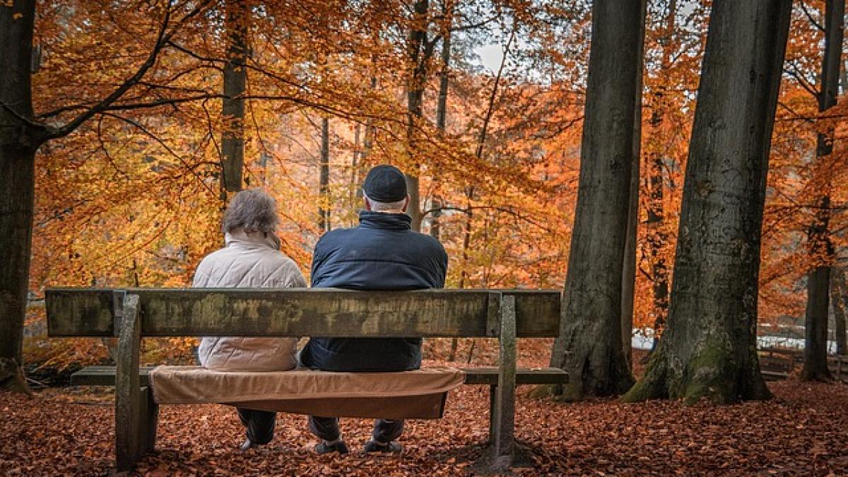 autumn-1791854_640_02558200