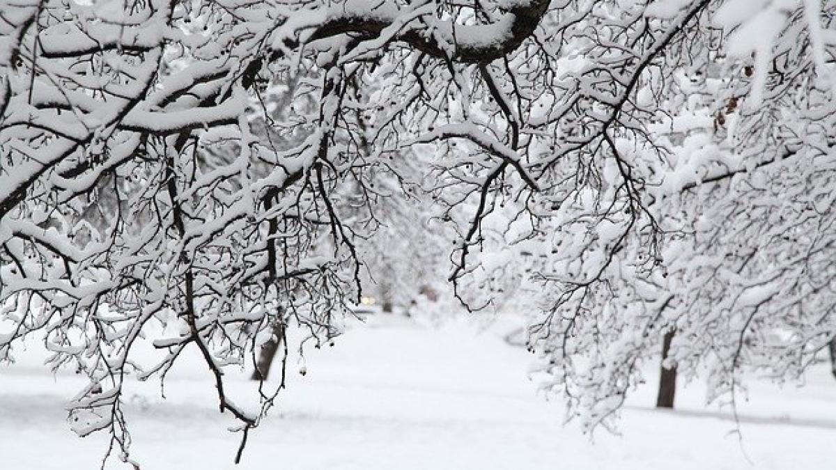 russian-winter-4329429_640_69605800