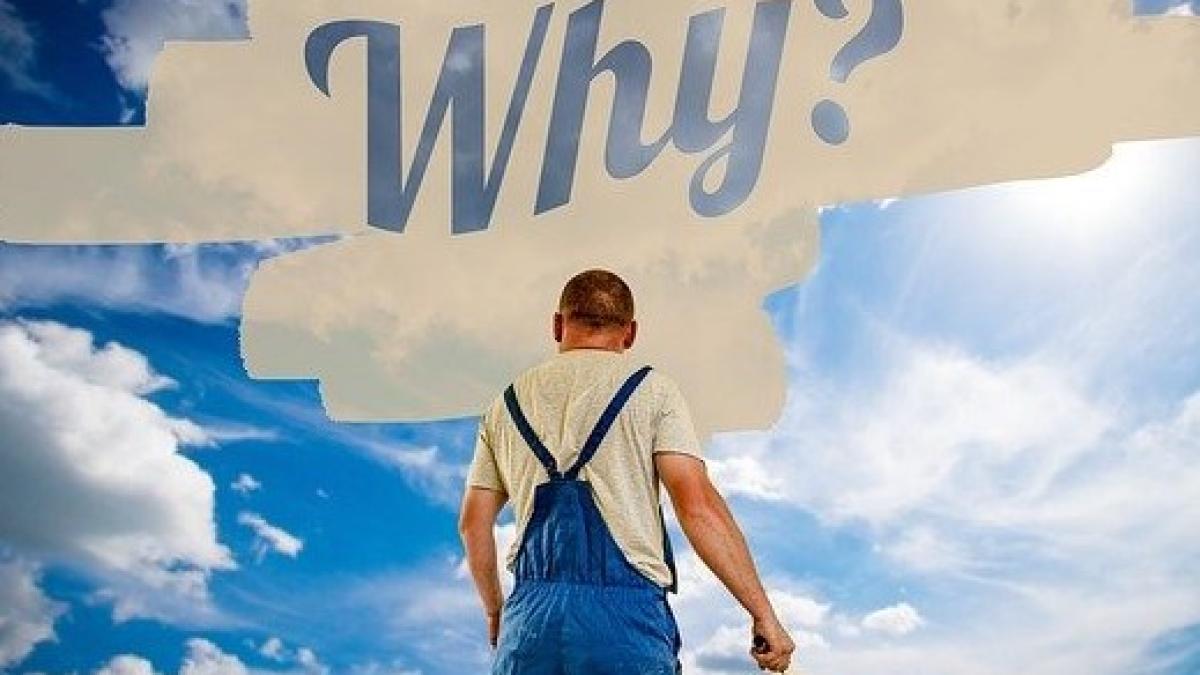 house-painter-3062248_640_37651100