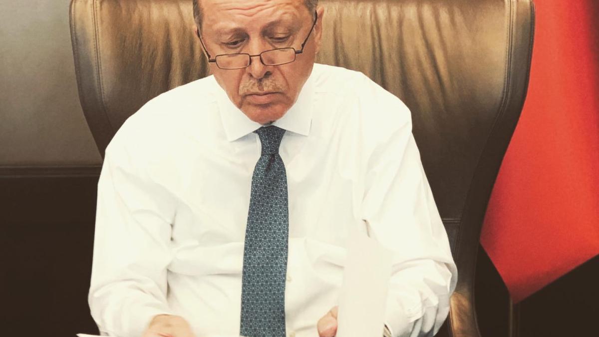 90658253_10157563038223577_3335603023777890304_o_14447400