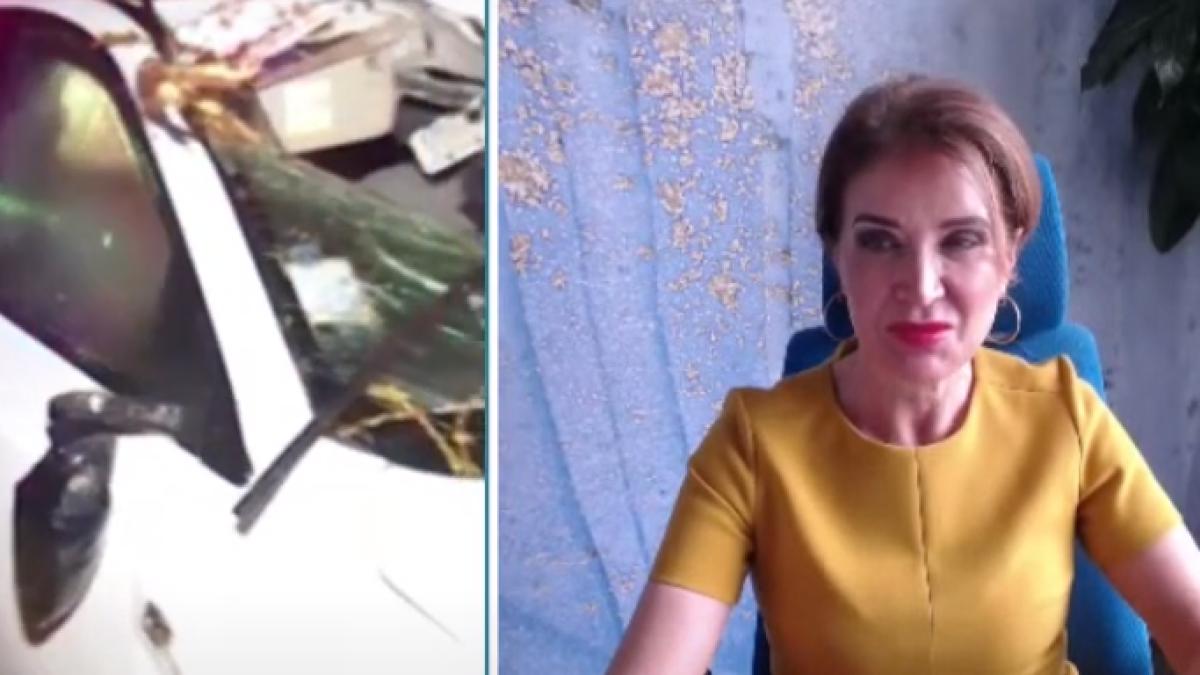 Nicoleta Radu PAID: Acum există un proiect de modificare a legii în Parlament