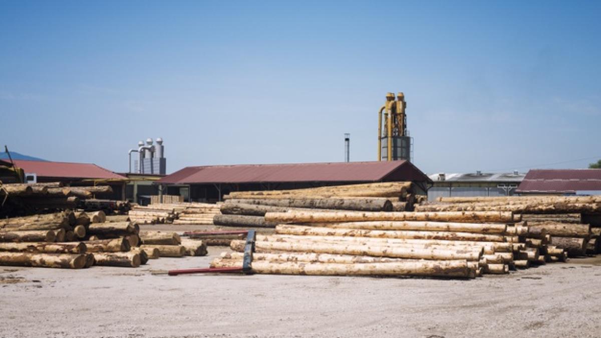 sawmill-factory-lumber-planks-production_342744-396_58095700