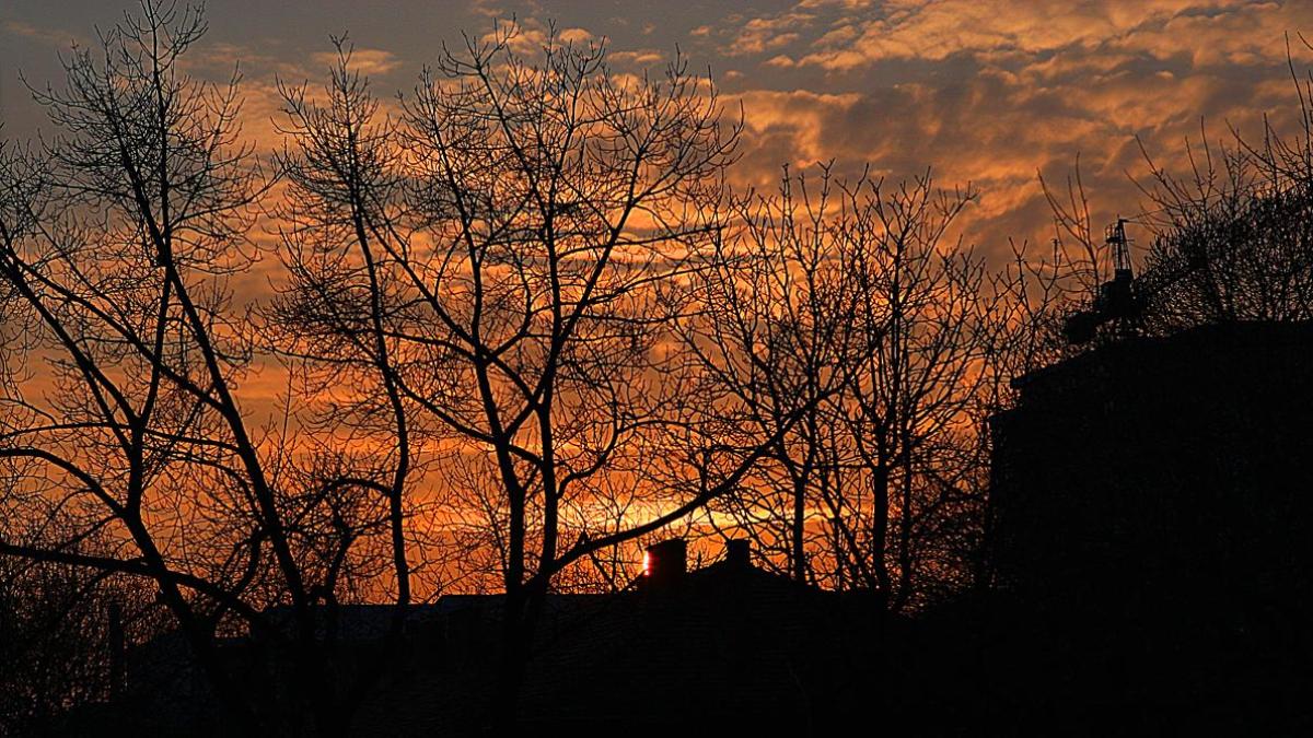 10465458_10203660206492518_6336468023883467228_o_20218400